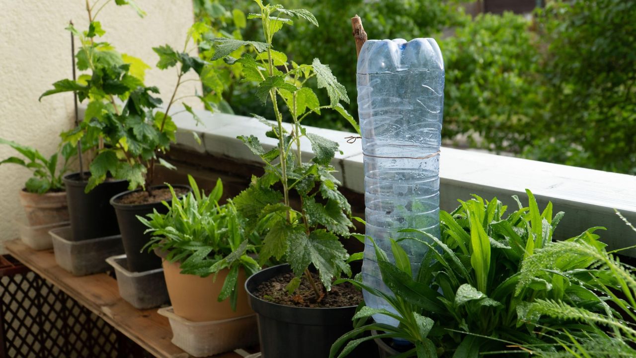 A windowsill DIY watering system 