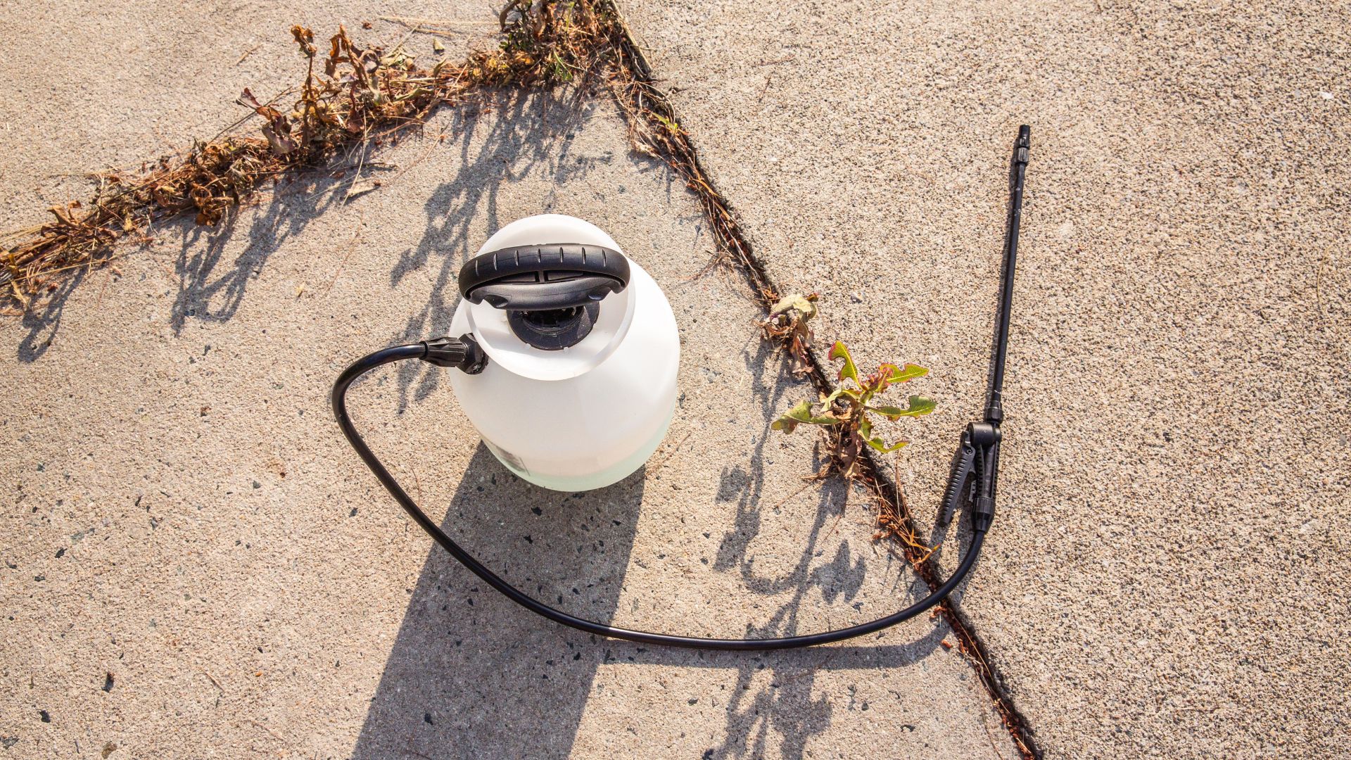 picture of weed killer and paving stones with weeds growing through the crack with sunshine