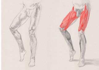 how to draw legs - leg sketches