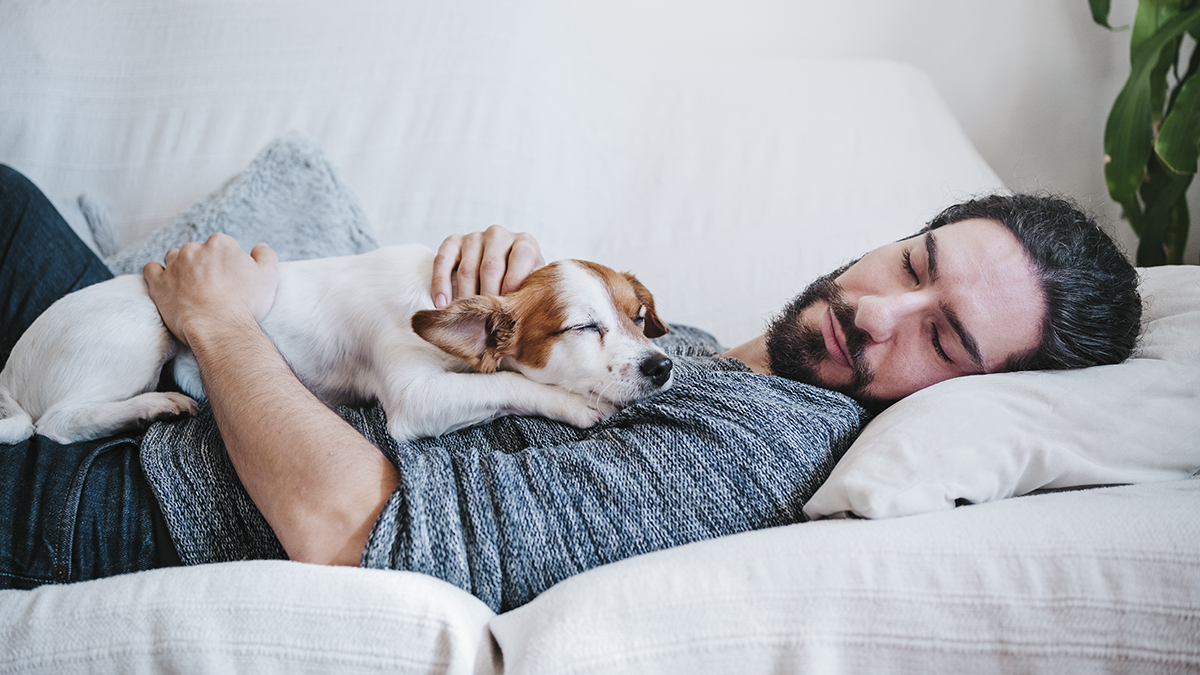 Man and dog napping on the sofa
