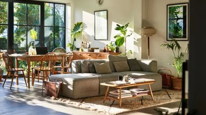 living room with large crittal windows, grey sofa, wood dining table and sideboard, plant