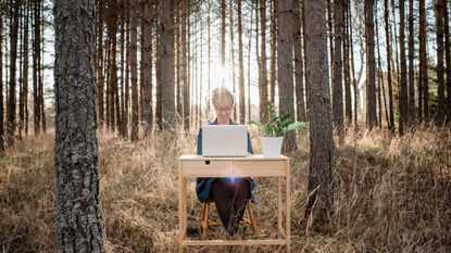 A woman writes on a laptop on a desk in the forest.