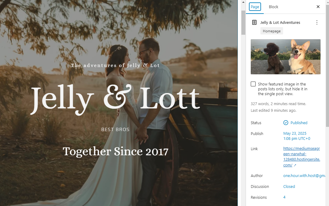 WordPress background image