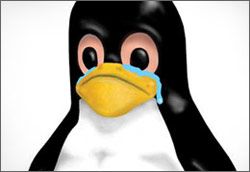 penguin_sh