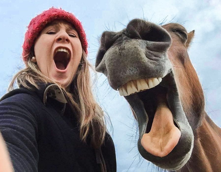 Win £ 3000 with your funniest photos of your pets.