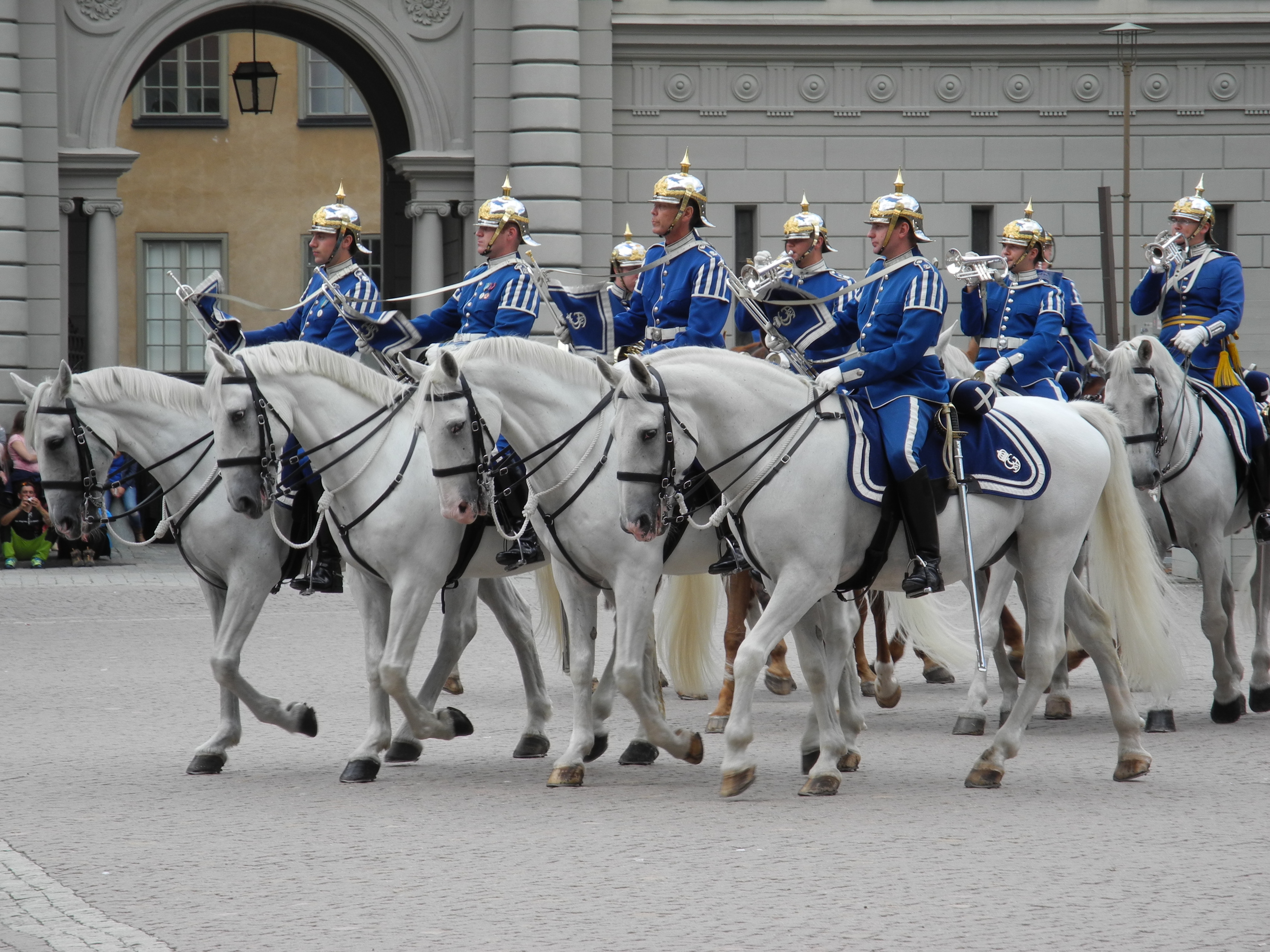 Kladruber-Horses-in-Stockholm-Sweden.jpg