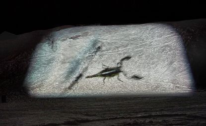 Summit meeting: artists go off-piste in Gstaad | Wallpaper
