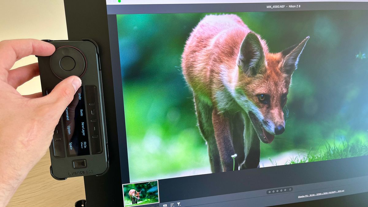 Hand controlling Quick Keys remote next to Xencelabs Pen Display 24+ with image of fox on the screen