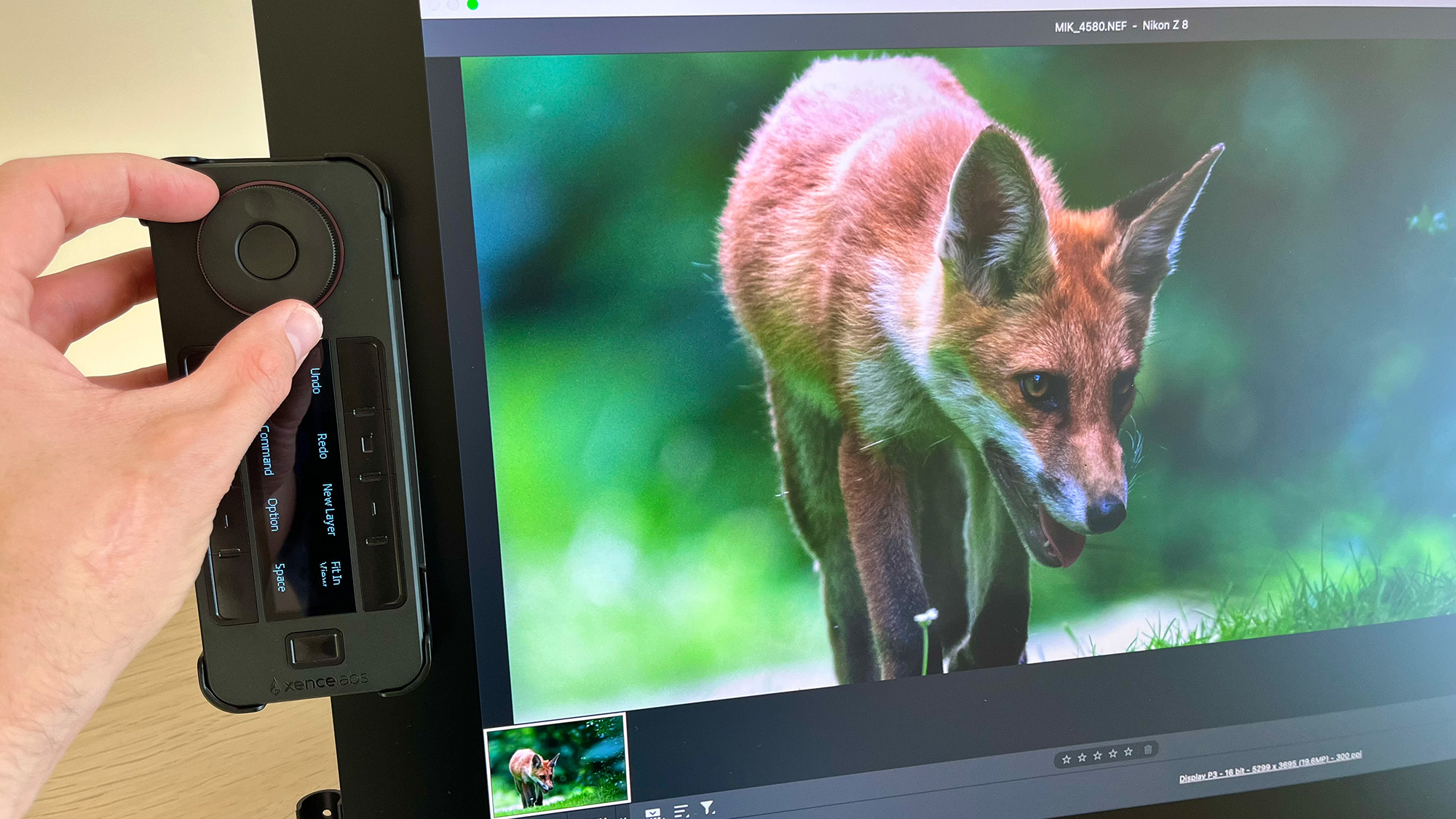 Hand controlling Quick Keys remote next to Xencelabs Pen Display 24+ with image of fox on the screen