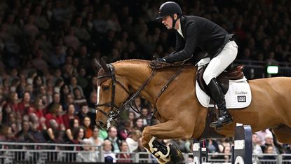 Jos Verlooy and Igor, who has been retired at the age of 16.