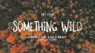 Best free handwriting fonts: Something Wild handwriting font sample
