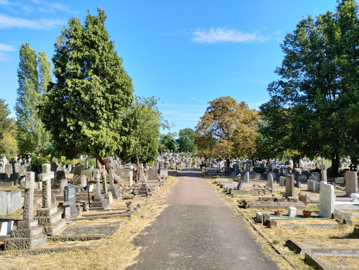 Motorola Moto G82 camera sample: At times the G82 verges on making its pictures a touch too bright, but it helps them pop off the screen.