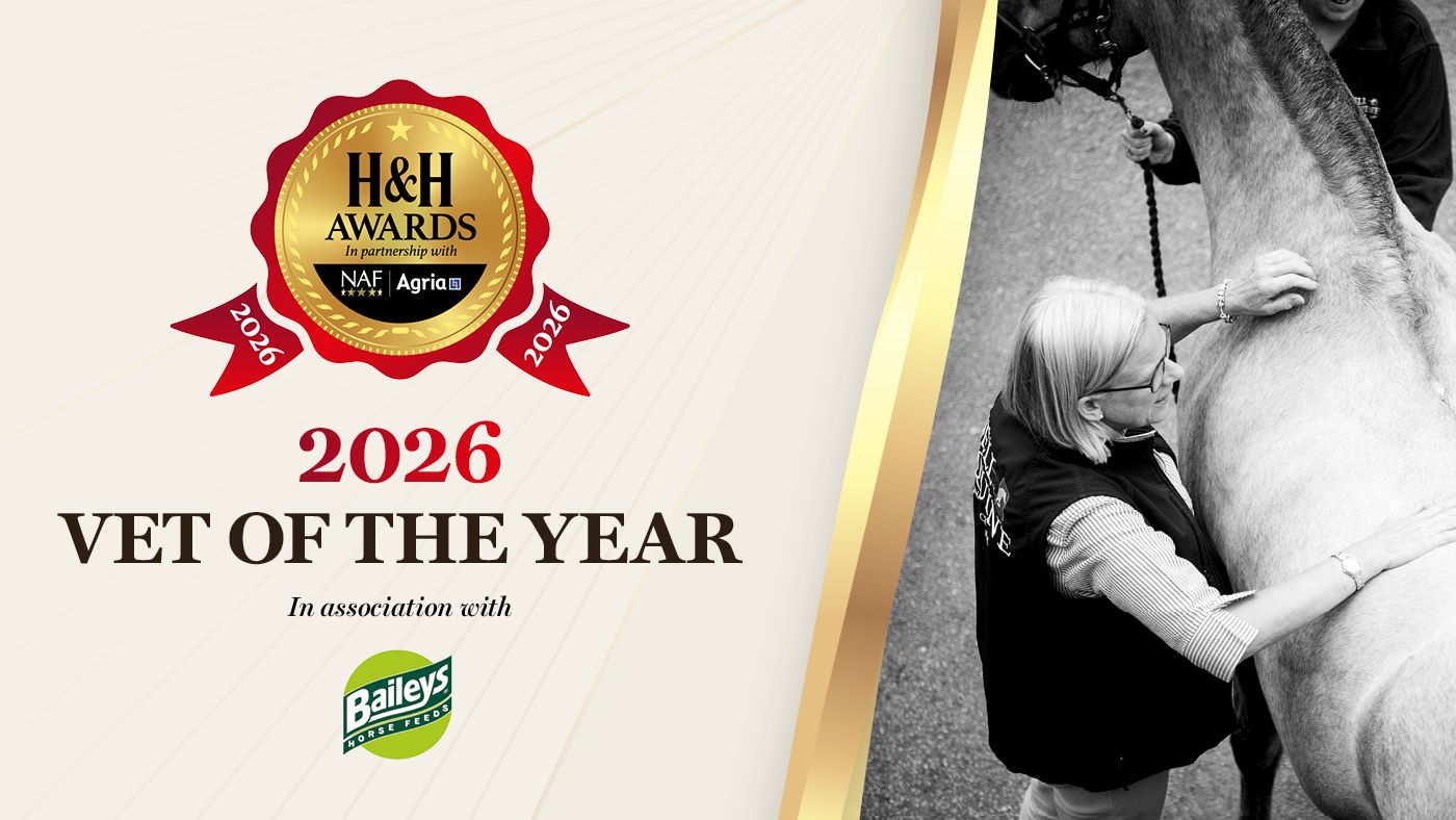 Nominations are open for the Baileys Horse Feeds Vet of the Year 2026