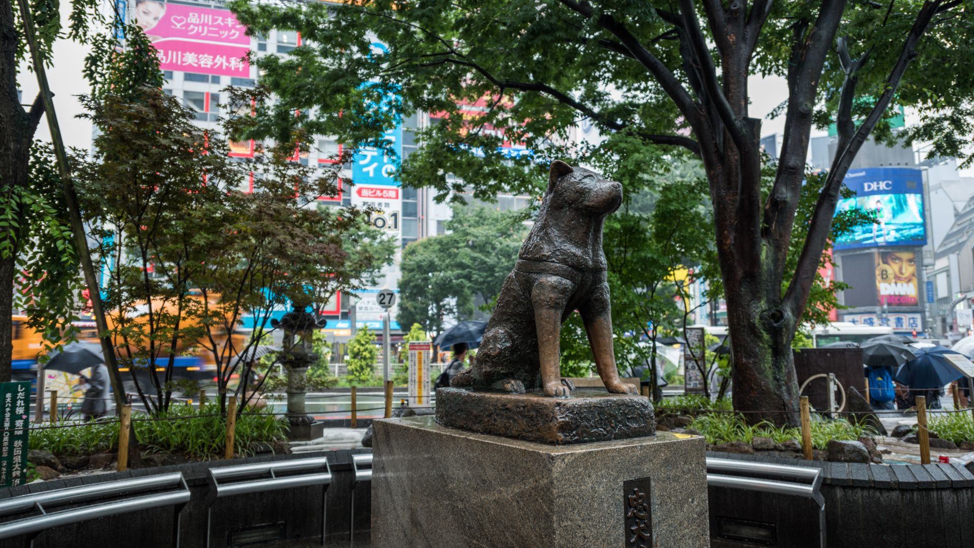Hachikō statue in Shibuya, Tokyo