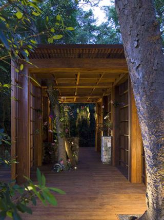 Close up view of Simpson Park Hammock Pavilion, Miami - a wooden, rectangular archway with lighting, wood flooring, flowers and a tree trunk inside