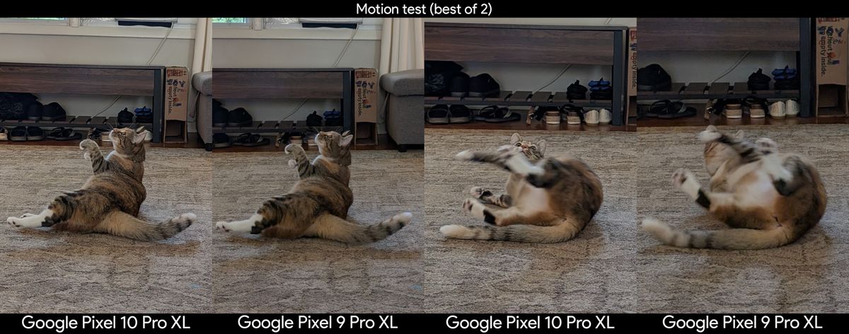 Comparing camera motion capture with photos of a cat, captured on a Google Pixel 10 Pro XL and a Google Pixel 9 Pro XL