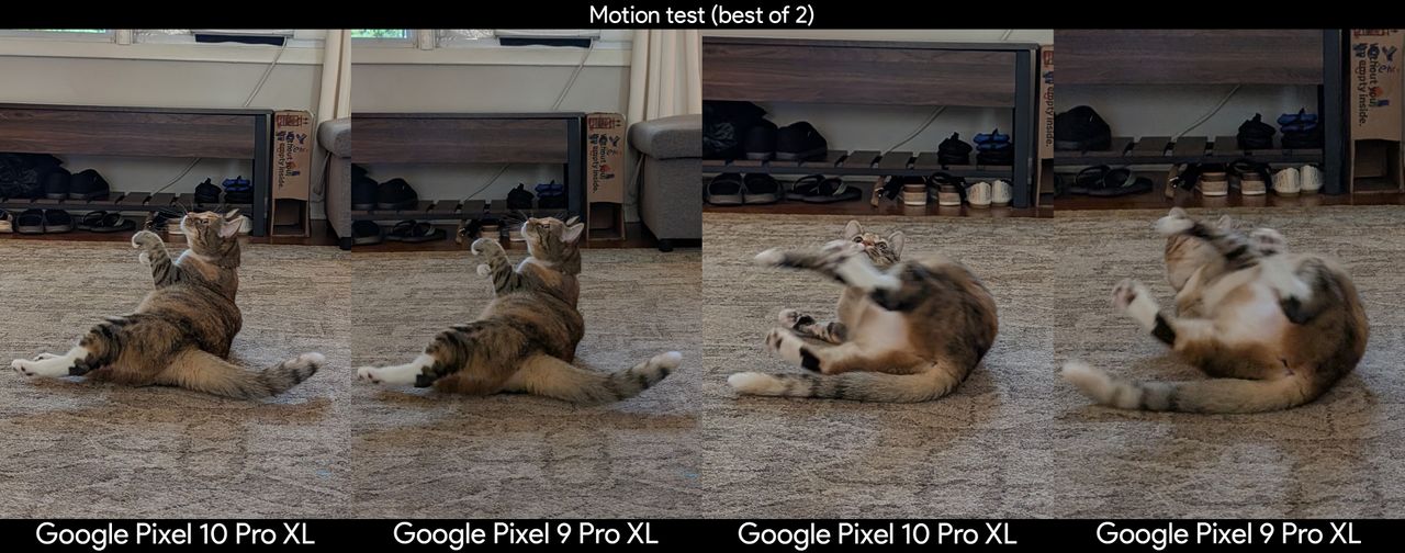 Comparing camera motion capture with photos of a cat, captured on a Google Pixel 10 Pro XL and a Google Pixel 9 Pro XL