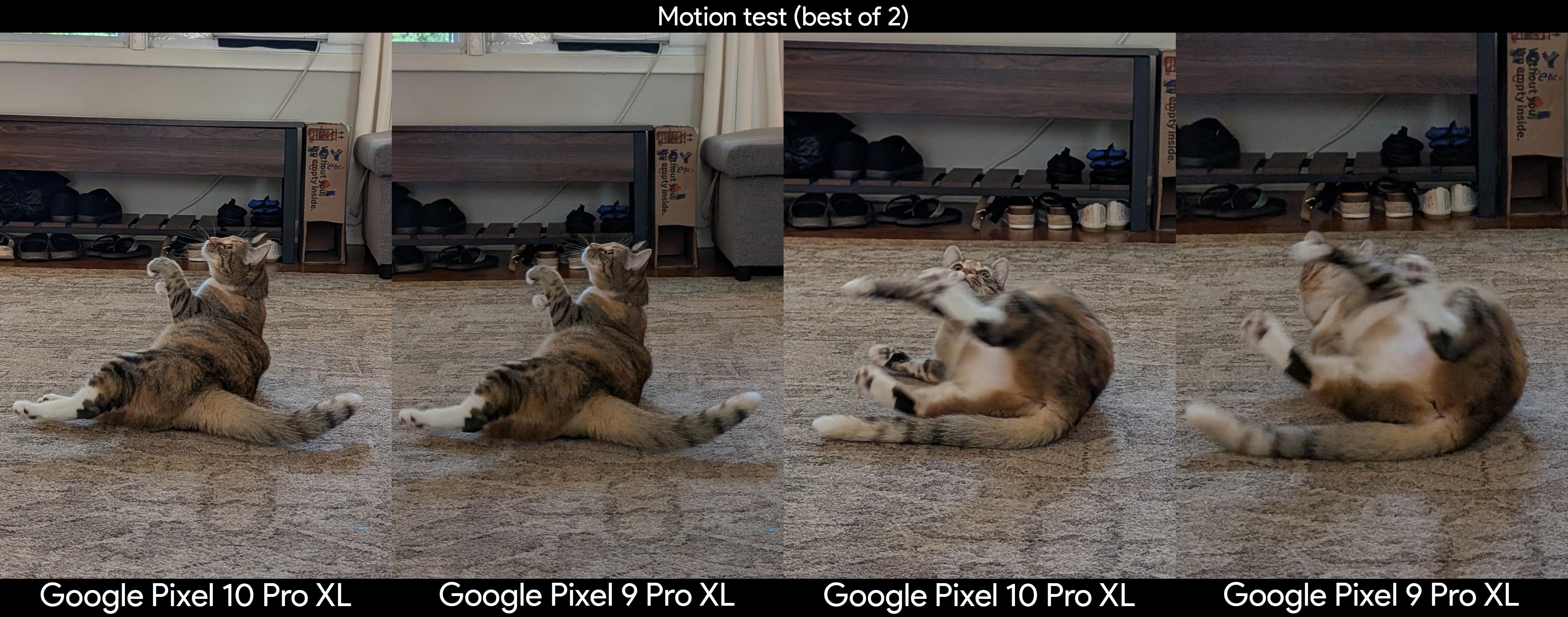 Comparing camera motion capture with photos of a cat, captured on a Google Pixel 10 Pro XL and a Google Pixel 9 Pro XL