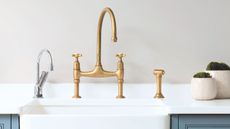 A kitchen sink with a tall brass faucet