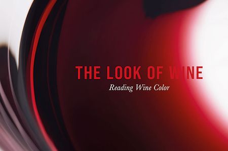 the look of wine, book