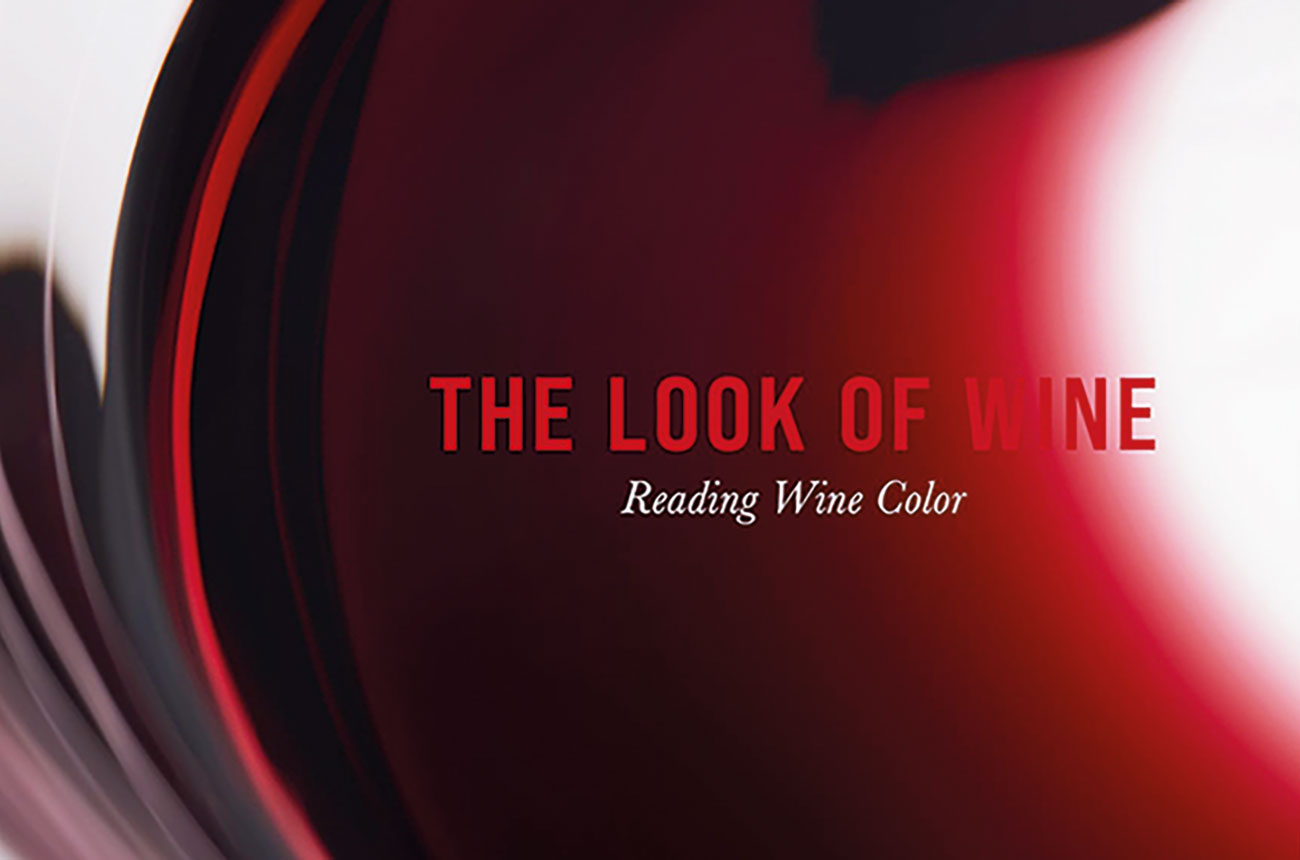 the look of wine, book
