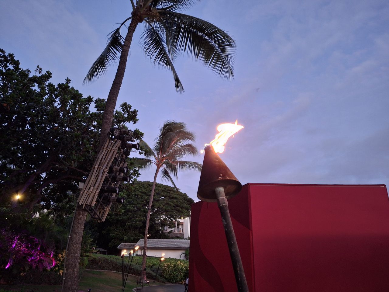tiki torch at dusk shot by Galaxy a35