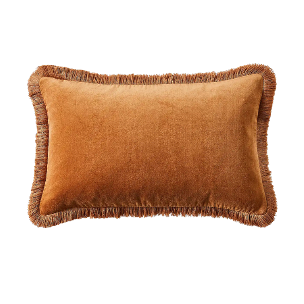 Fringed Cotton Velvet Cushion