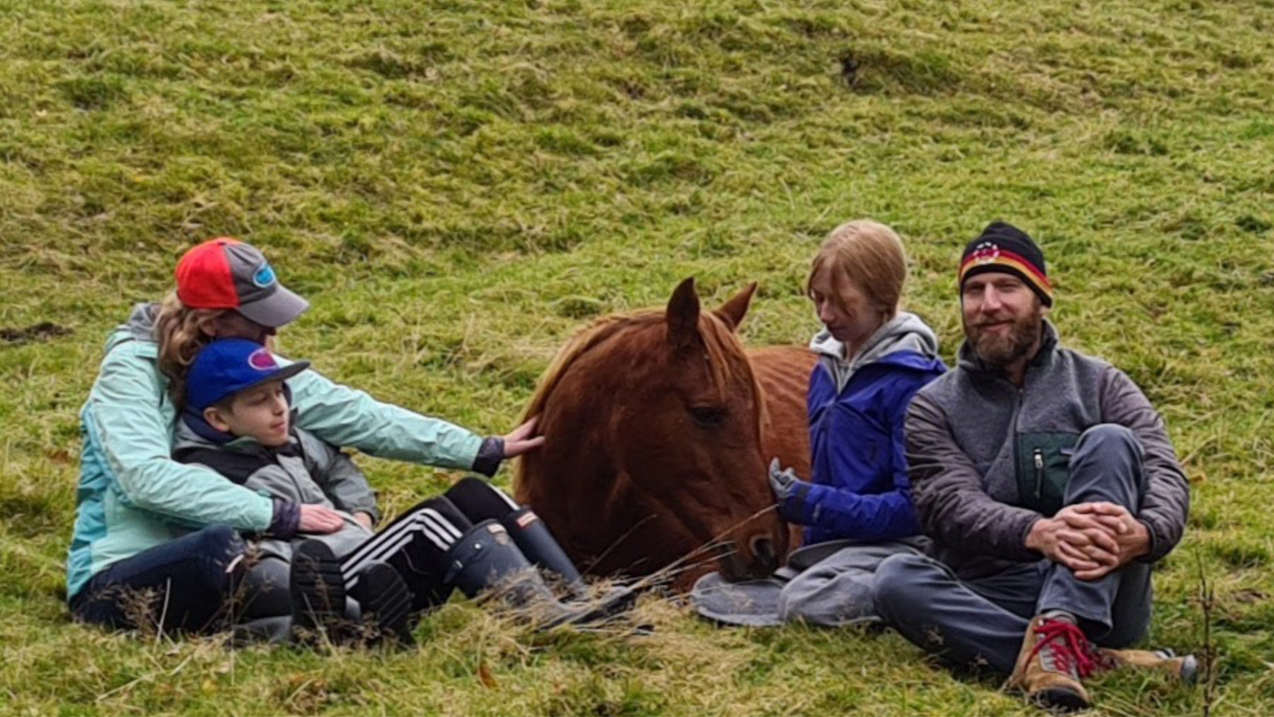 Horse experience days North