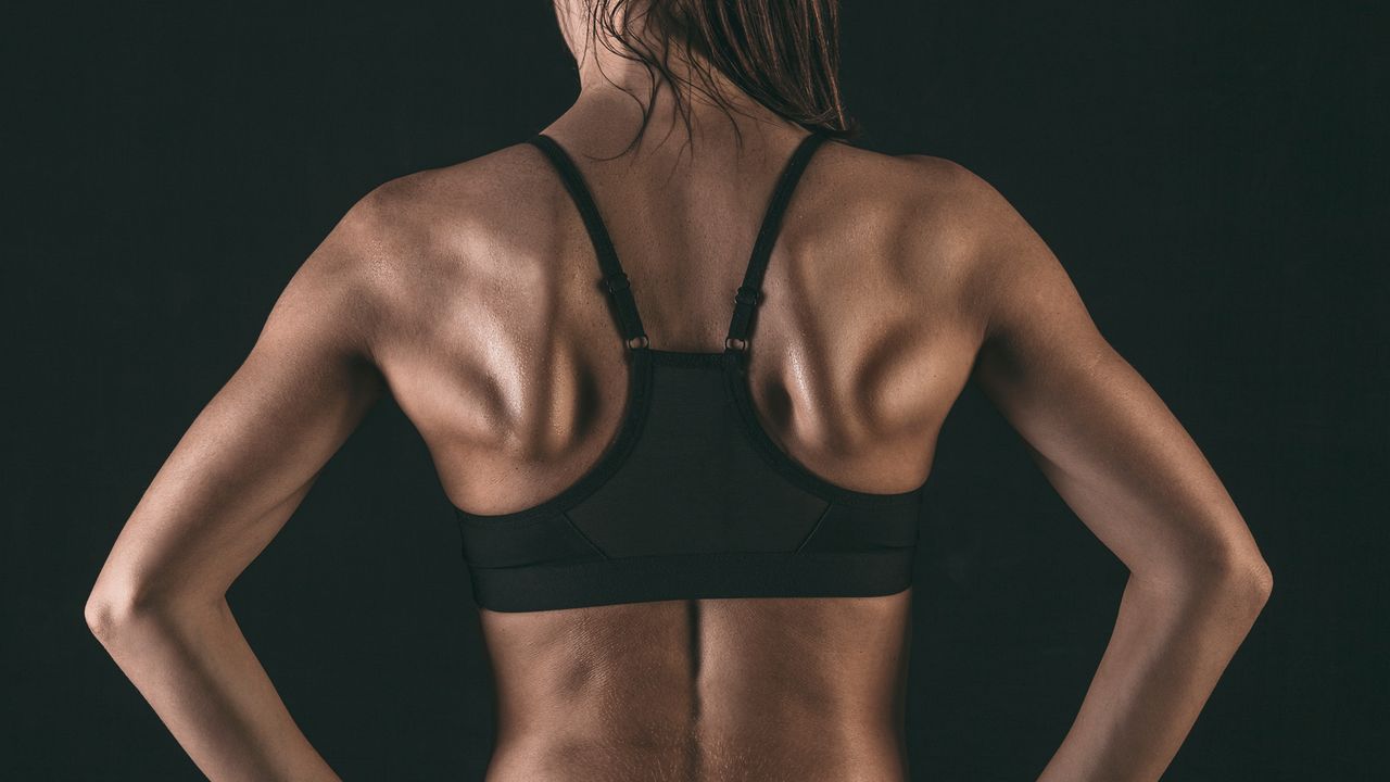 A woman&#039;s back muscle