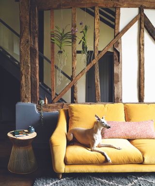 Yellow sofa, wooden beams, wire coffee table