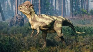 Here, we see an illustration of a Pachycephalosaurus, a plant-eating dinosaur that had a thick melon-like dome on its head.