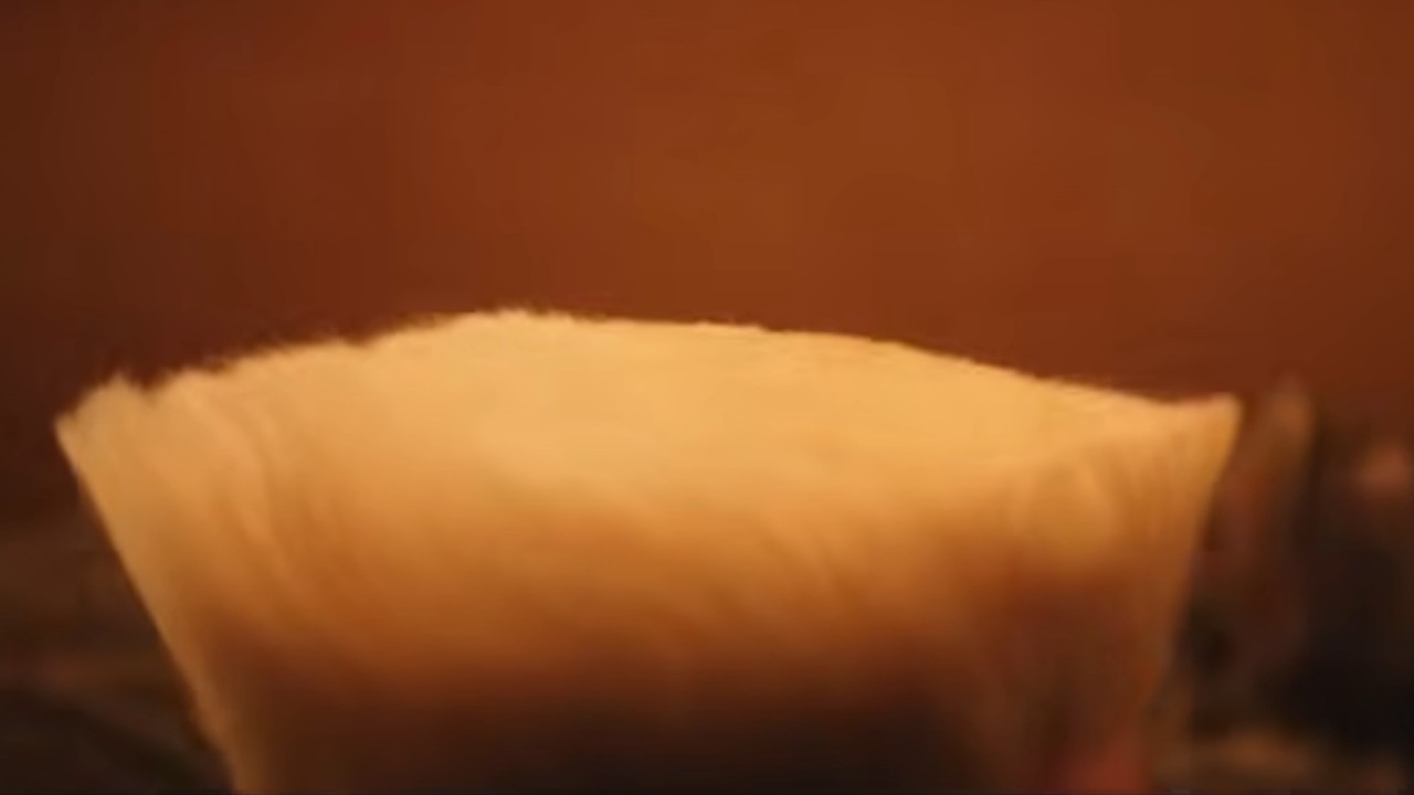 Guile's trademark hair in Street Fighter