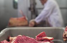 meat.jpg