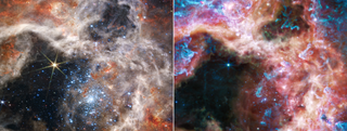 A side-by-side display of the same region of the Tarantula Nebula brings out the distinctions between Webb’s near-infrared (closer to visible red, left) and mid-infrared (further from visible red, right) images.