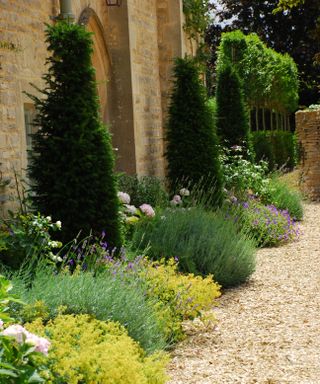 evergreens and repeated planting in formal garden design