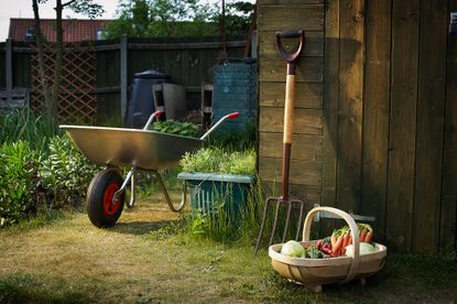 garden essentials for the backyard