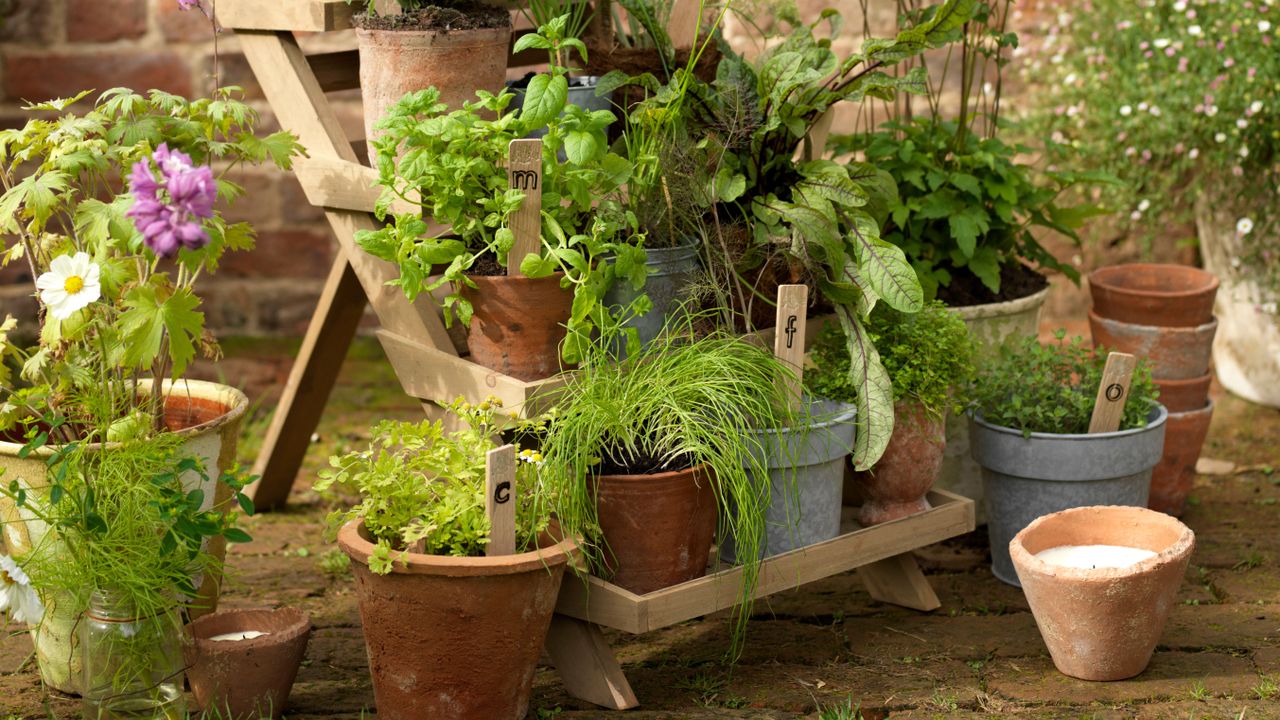 Monty Don potting mistakes