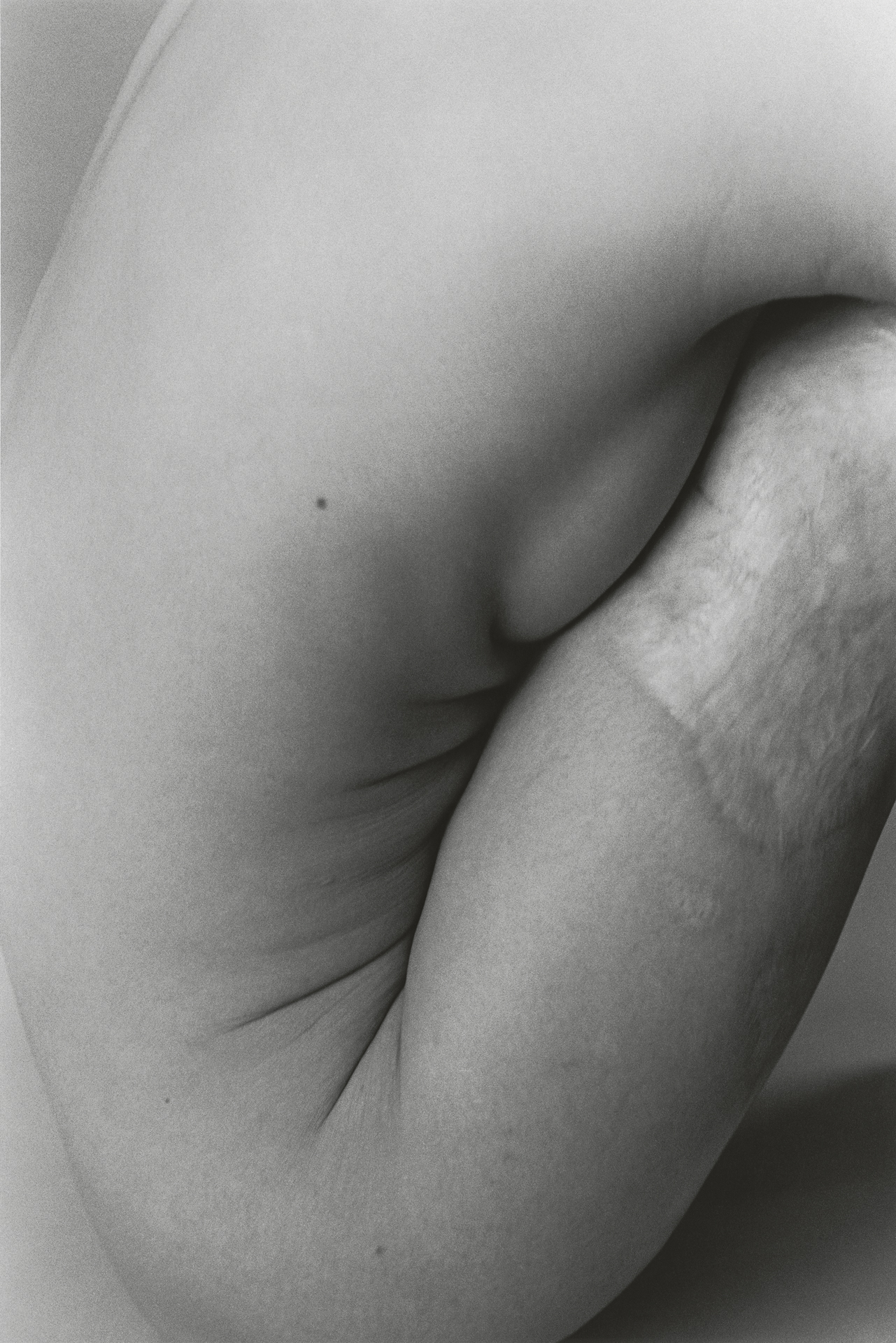 &amp;lsquo;Ishiuchi Miyako: Traces&amp;rsquo;, a new photography book from thames &amp;amp; hudson