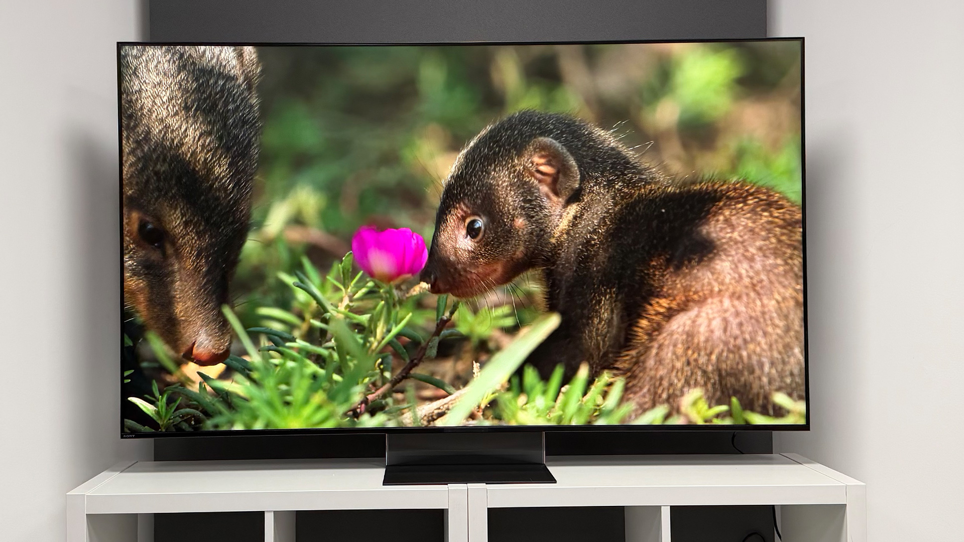 Sony Bravia 9 II RGB Mini LED TV