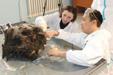 yuka Mammoth discovery