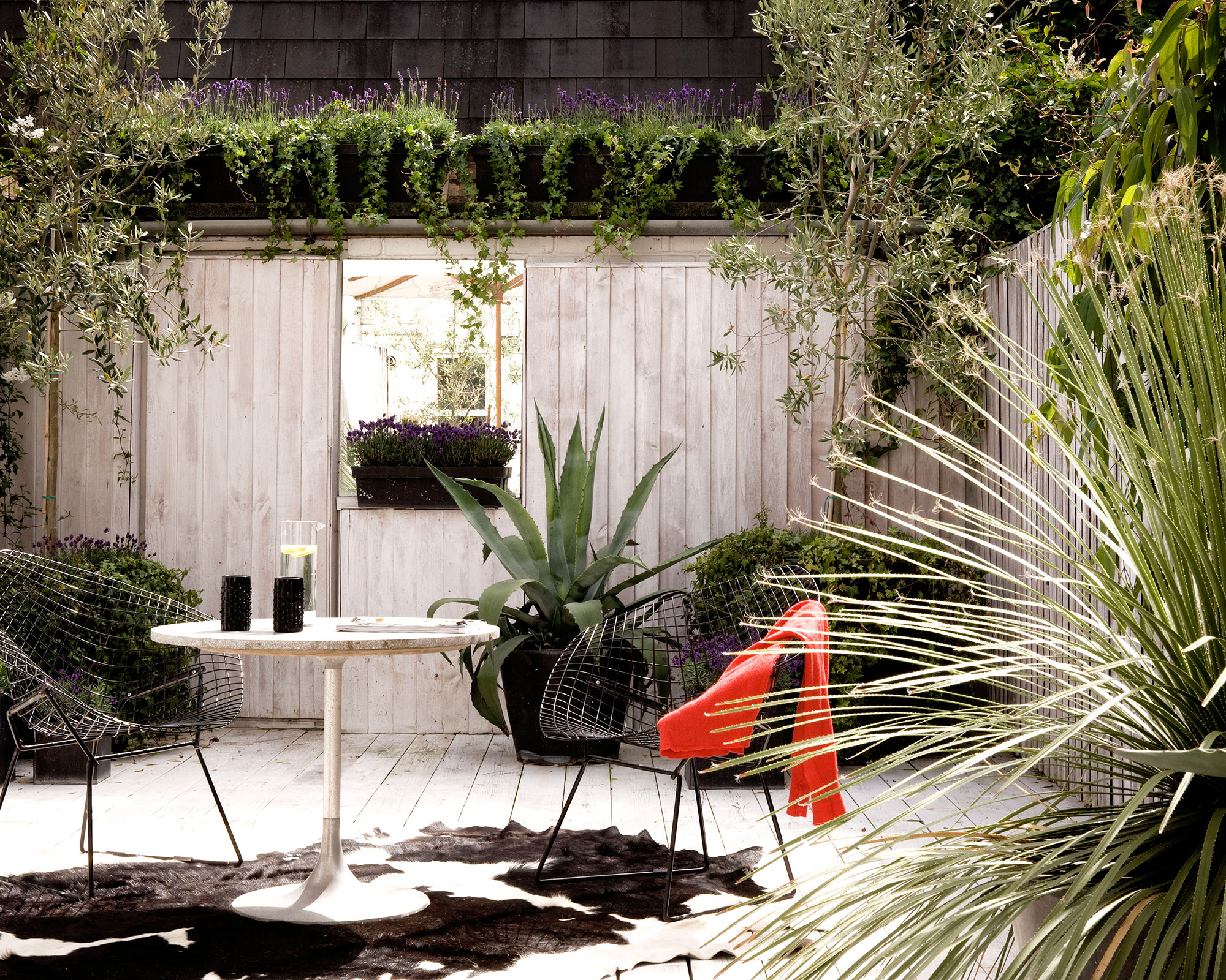 Fence decorating ideas showing a modern fence with mirror and cacti.