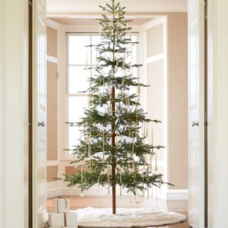 Christmas tree standing in room