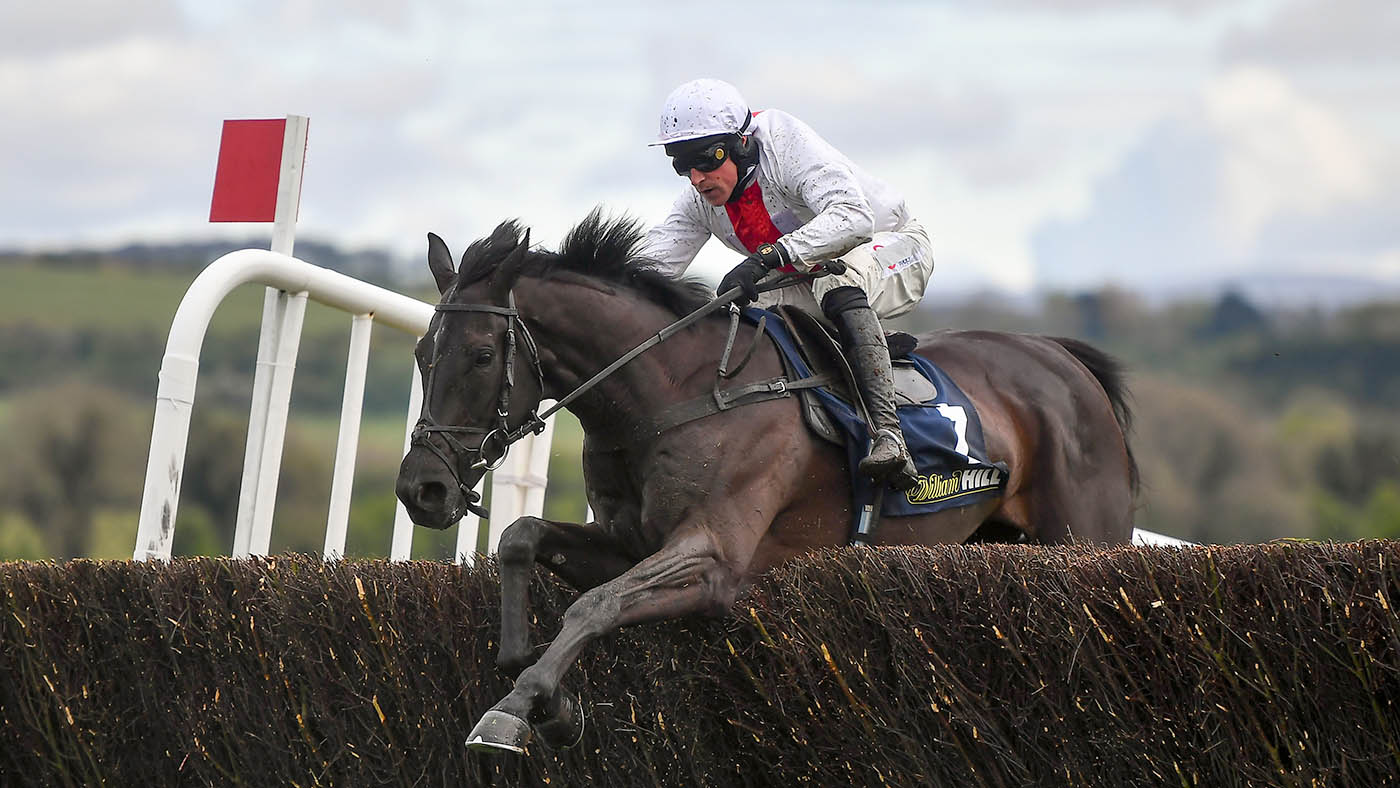Dan Skelton horses to follow - Nube Negra Harry Skelton