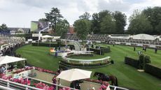 Royal-Ascot-paddock-2020.jpg
