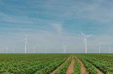 Wind turbines Chablis