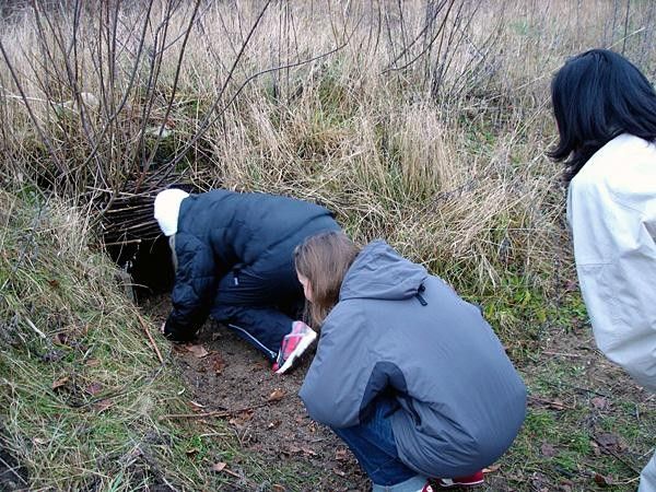 The Mongoose hole