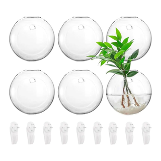 A set of round wall hanging planters with hooks