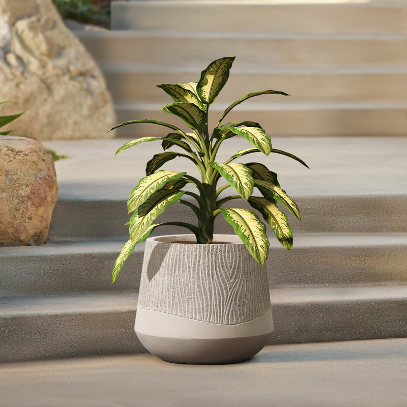 Latitude Run&amp;reg; Blended Tan With Wood Pattern Round Tapered Tall Mgo Planter, Indoor and Outdoor &amp;amp; Reviews | Wayfair