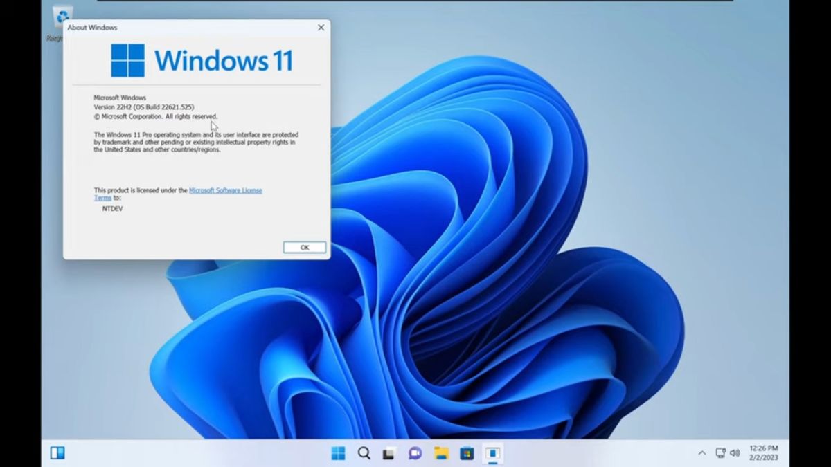 Tiny11 review: Windows 11 with only 2GB of RAM | ITPro