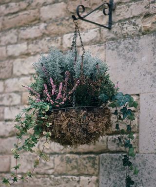heather and foliage in winter hanging basket